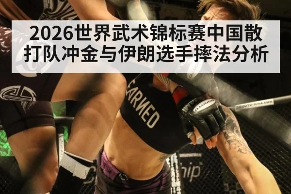 2026世界武术锦标赛中国散打队冲金与伊朗选手摔法分析